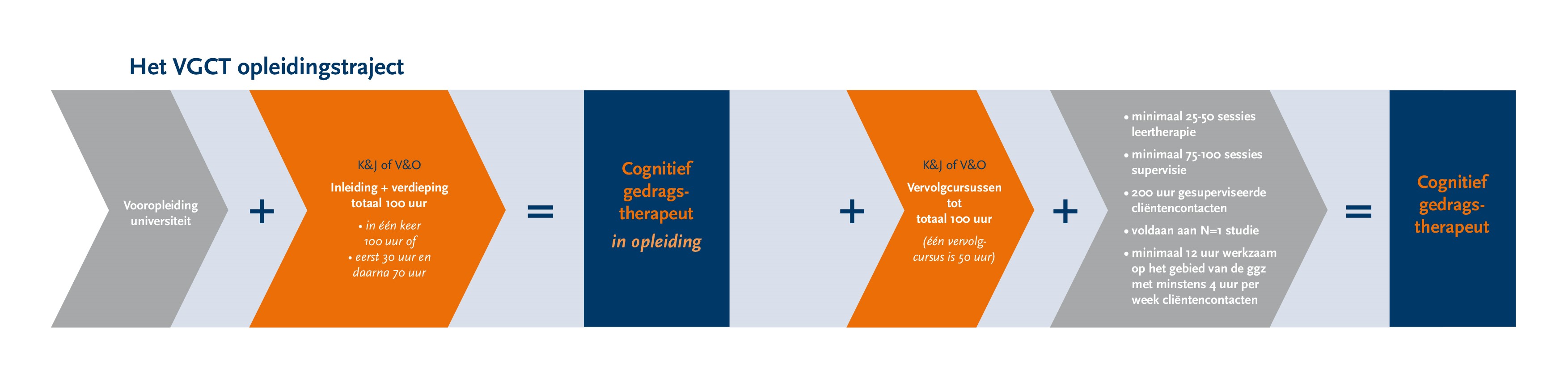 Stroomschema opleiding tot cognitief gedragstherapeut