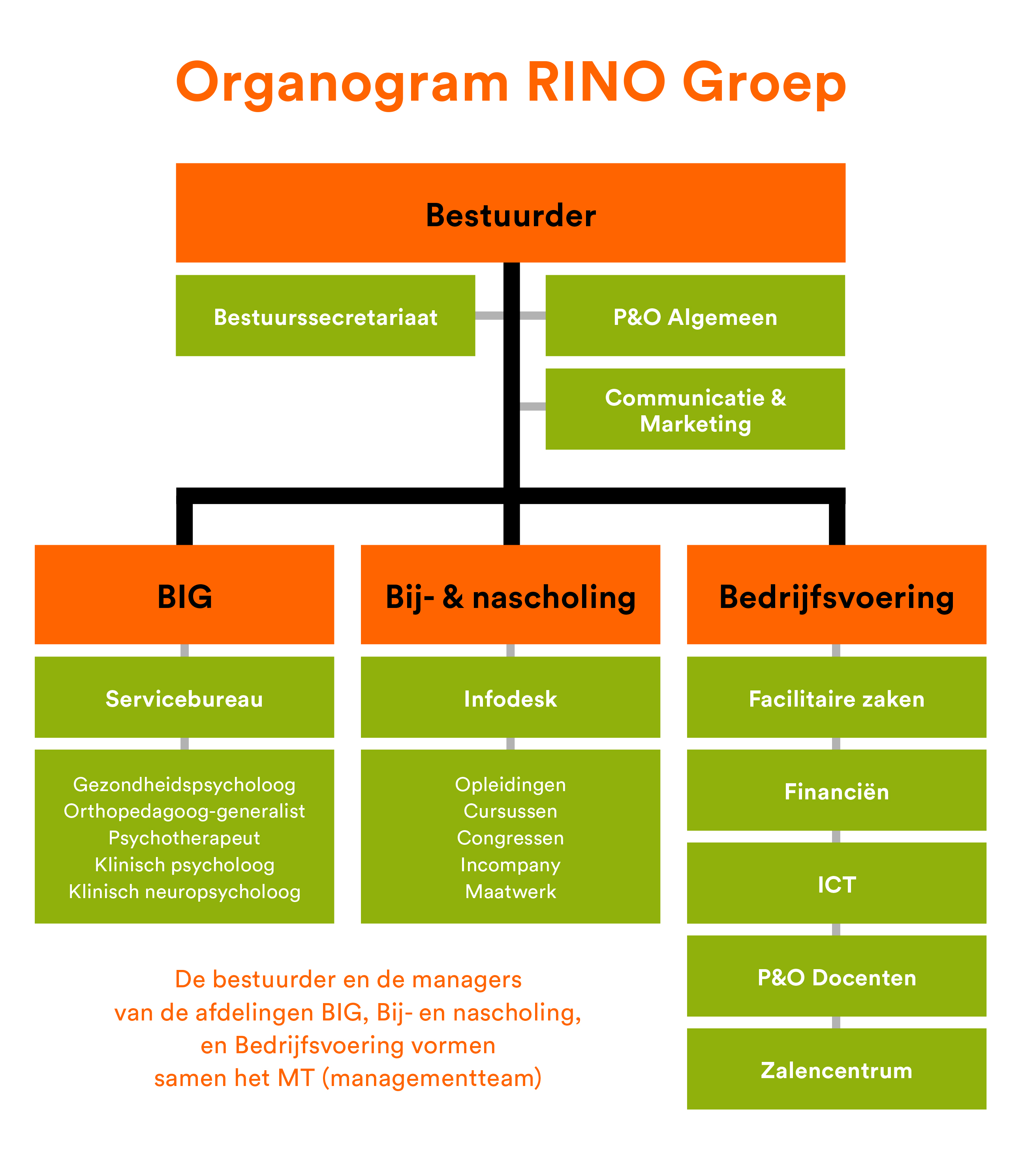 Organogram van de RINO Groep